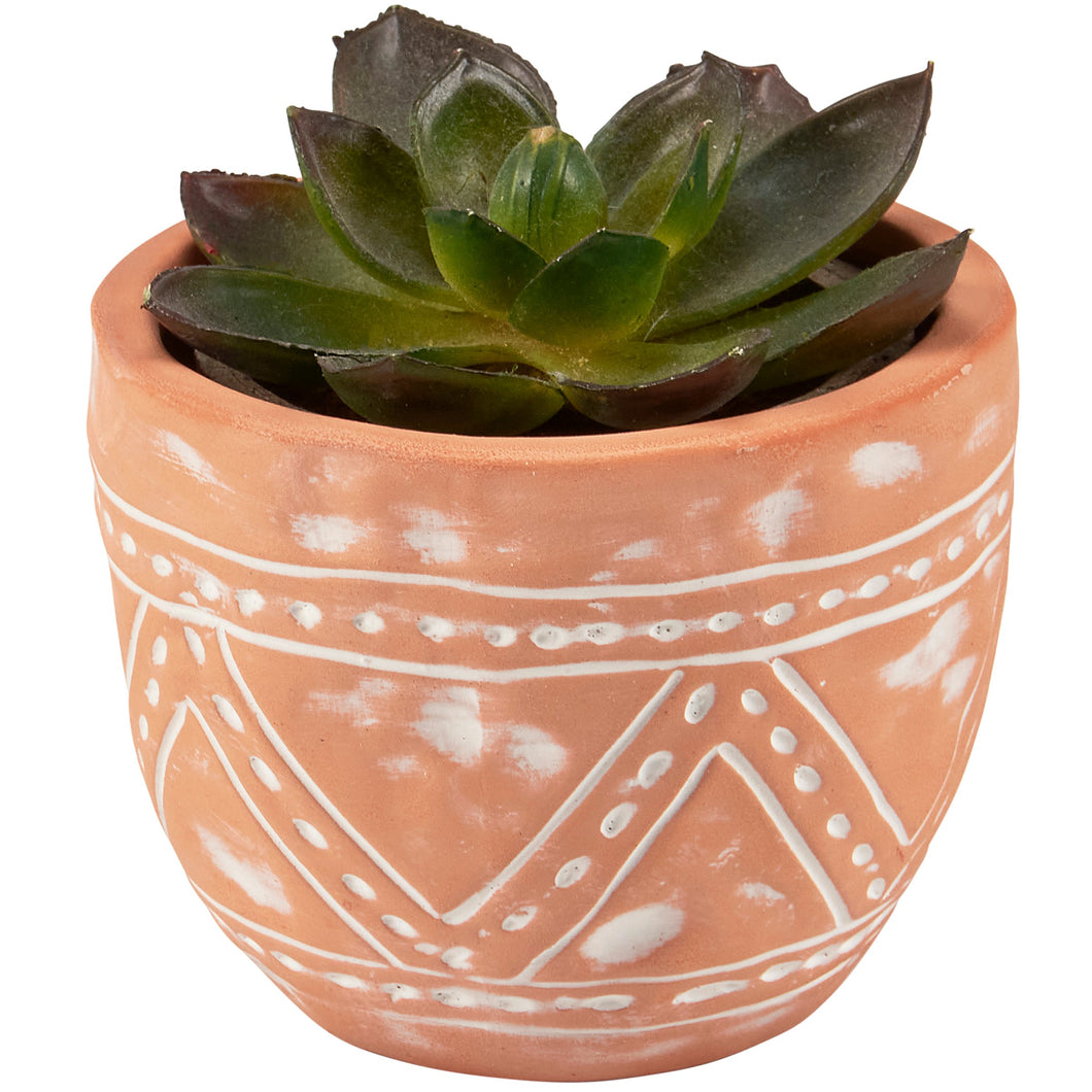 Western Pot