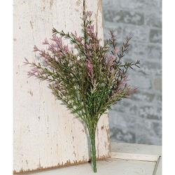 Lavender Asparagus Bush, 13"